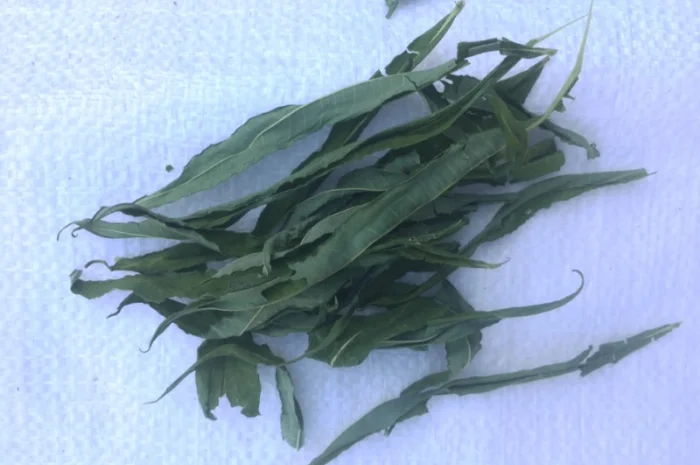 Продаємо лист та траву Іван чая- фото № 1