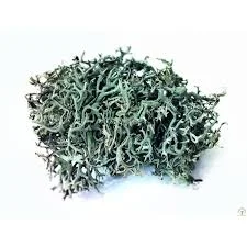 Исландский мох сушеный- фото № 1