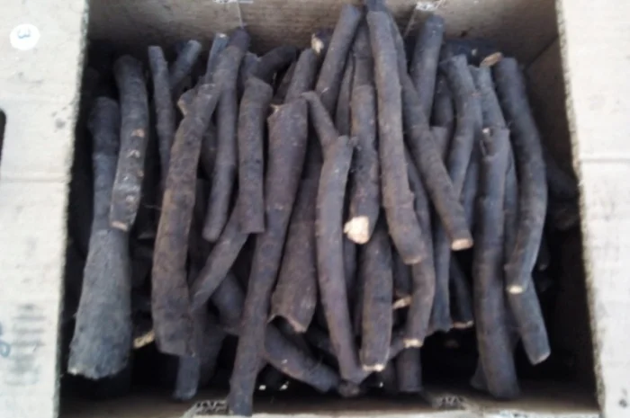 Корень живокоста - окопника, круглый год- фото № 1