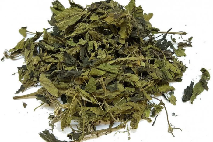 Крапива двудомная лист- фото № 1