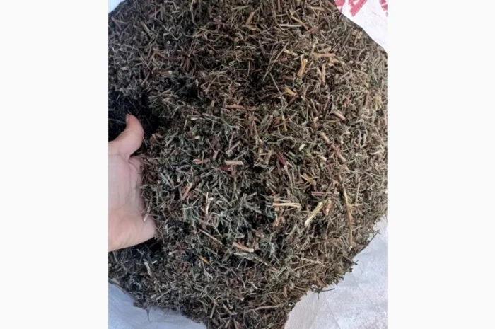 Кіпрей дрібноквітковий- фото № 2