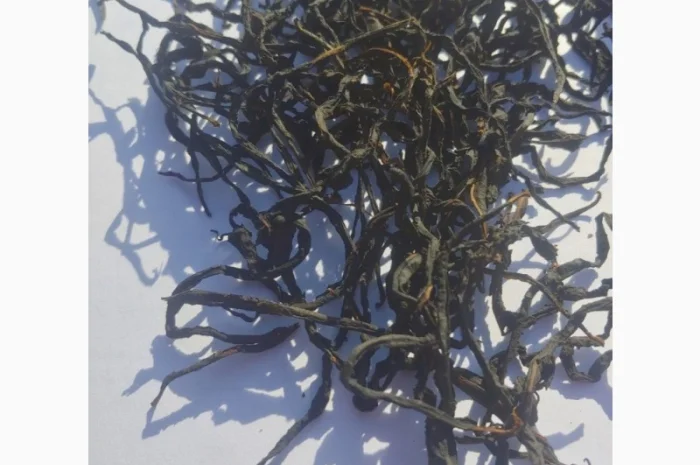 Іван Чай Ферментований- фото № 5