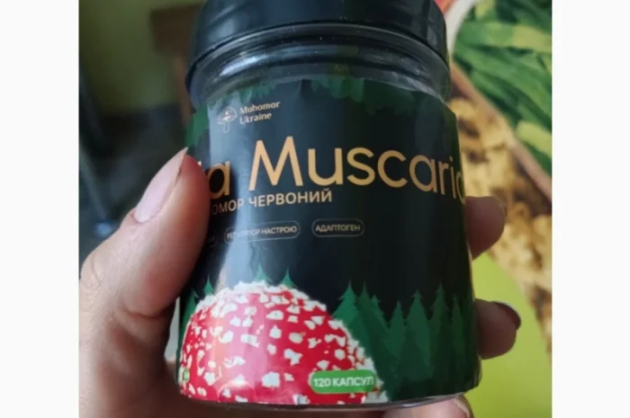 Продам мухомор червоний високої якості- фото № 1