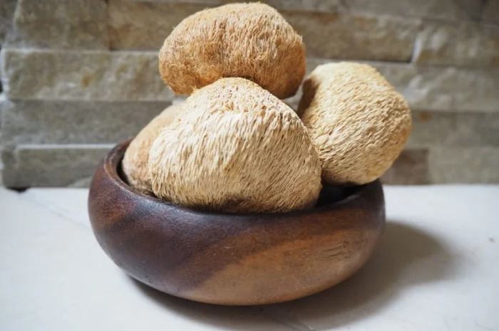 Микродозинг мухомора красного пантерного Ежовик Кордицепс Рейши- фото № 3