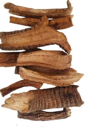 Горечавка желтая (Тирлич)- фото № 1