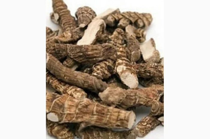 Закупаем корень аира, Алтея, калгана, живокость.сухой и мокрый- фото № 1