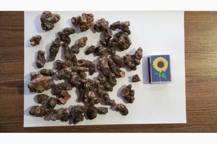 Купим сухой корень кульбабы, лопуха, калгана.аира, Алтея.Оплата наличными- фото № 1