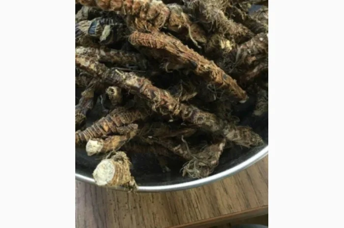 По Всей Украине.Закупаем Сухой корень Алтея, Аира и Калгана.Оплата наличными- фото № 1