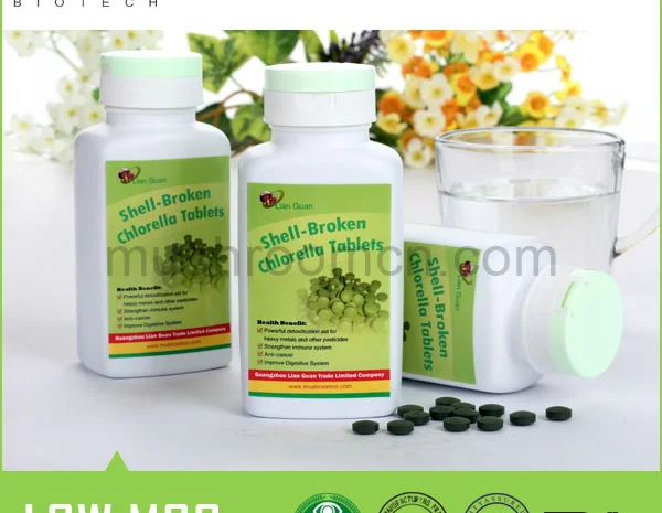 Шеллброкен - Стройность- фото № 1