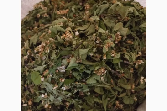 Куплю лист липи, лист малини- фото № 1