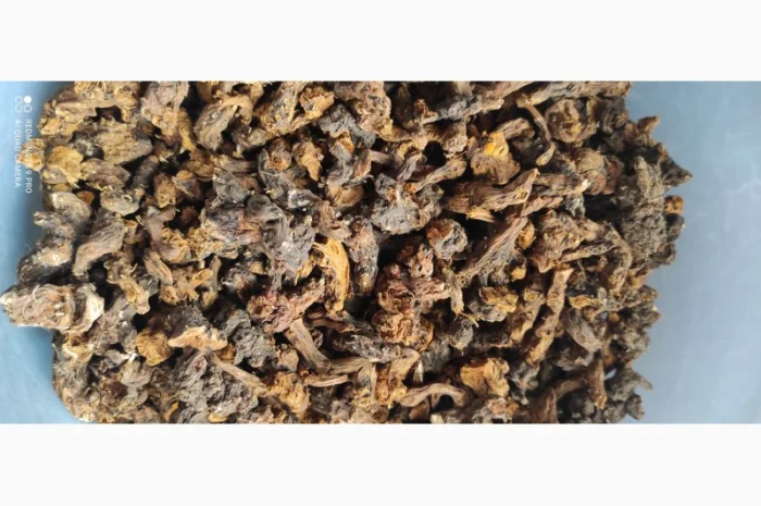 Корінь калгану (перстач прямостоячий) з Карпат- фото № 2