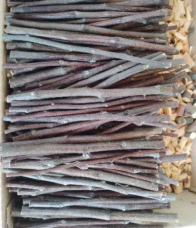 Гілочки палички яблуні сушені куплю- фото № 1