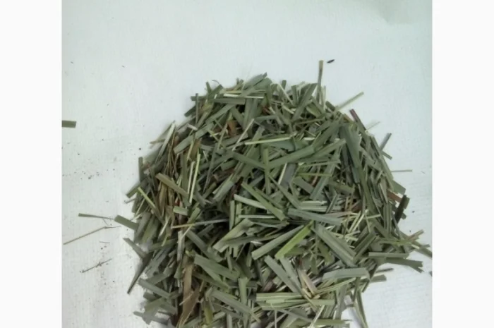 Продам Траву Зубровку и лек. сырье для ликьеро-водочной промишленности- фото № 10