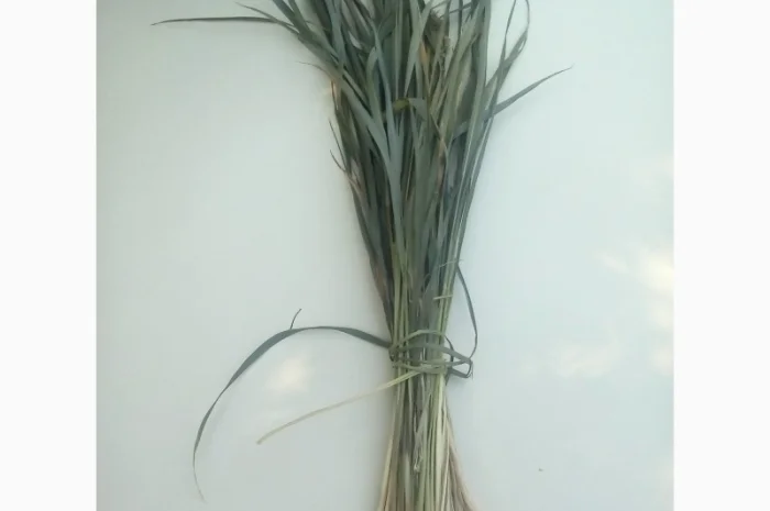 Продам Траву Зубровку и лек. сырье для ликьеро-водочной промишленности- фото № 13