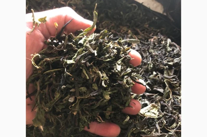 Іван-чай ферментований- фото № 2