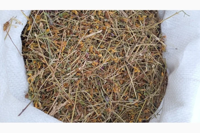 Продам траву звіробою 2023 року- фото № 1