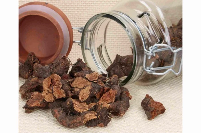 Корень калган лапчатка прямостоячая 1 кг- фото № 1