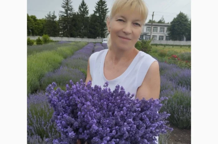 Лаванда з серця України, з Полтавщини- фото № 1