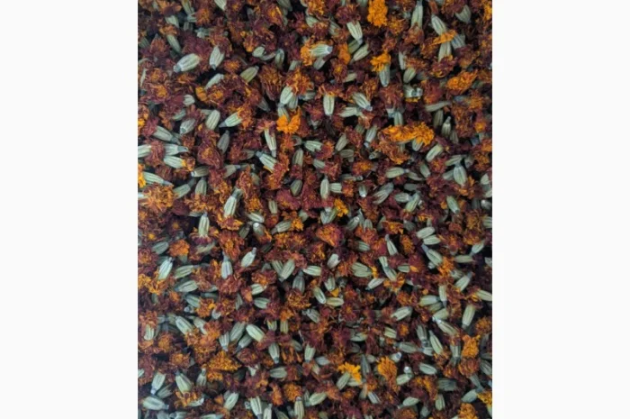 Продам чорнобривці сухі- фото № 1