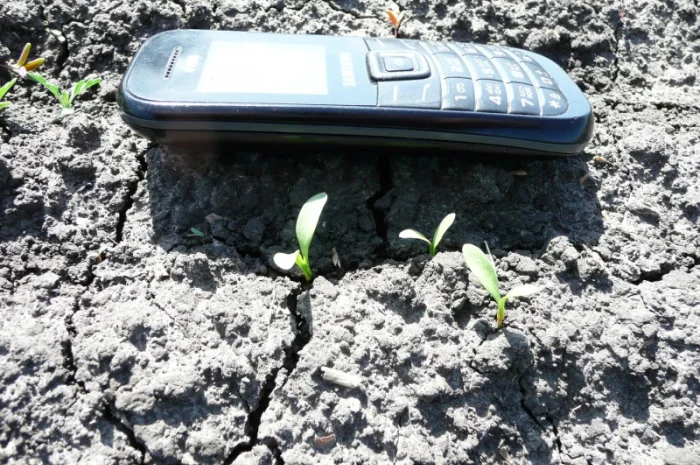 Черный тмин товарный- фото № 2