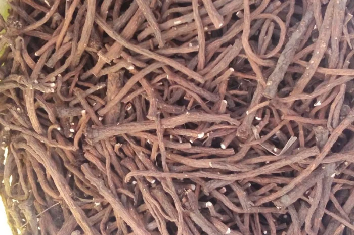 Куплю корінь кульбаби- фото № 1