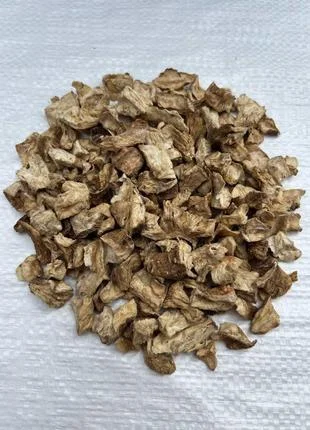 Продам корень цикория- фото № 1