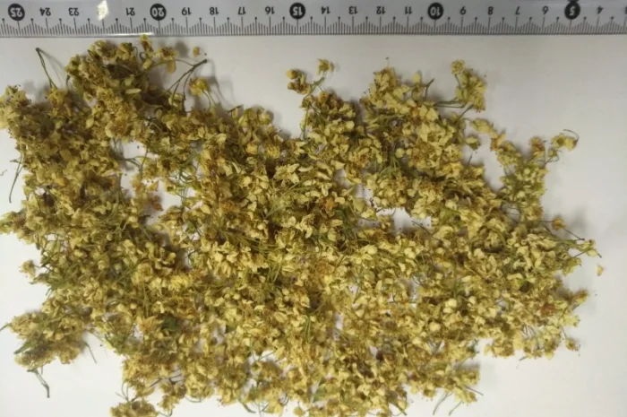 Куплю сухий цвіт глоду без листа- фото № 1