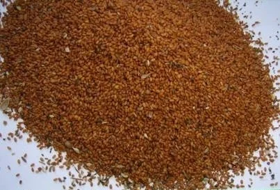 Рижей насіння уровень сахара ціна 100 грам- фото № 1