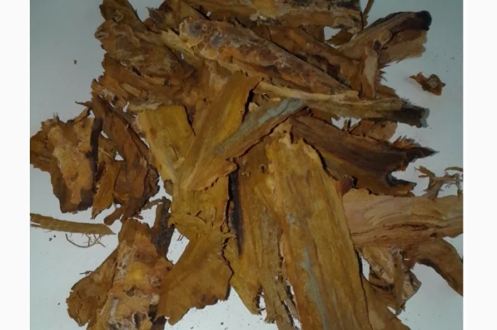 Кора усохшей вишни - помощь щитовидной железе- фото № 1