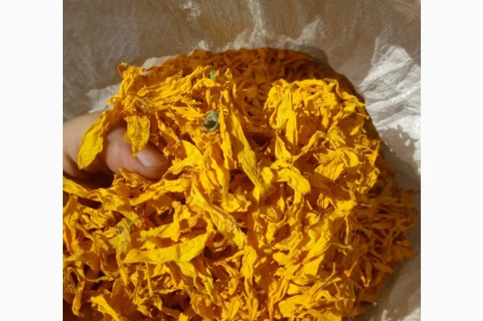 Закупаем лепистки подсолнуха, тысячелистник, цвет липы- фото № 1