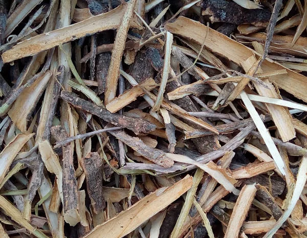 Кора калини суха- фото № 1