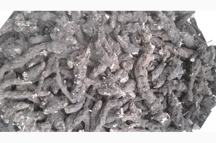 Продам калган- фото № 1