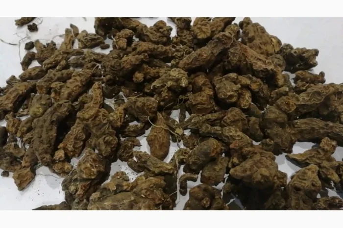 Закупаем корень калгана, лопуха, одуванчика, алтея.девясила, аира, сухой.только качество- фото № 1