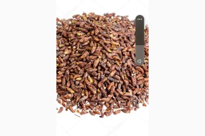 Куплю березову бруньку сиру та сушену. вся Україна- фото № 1