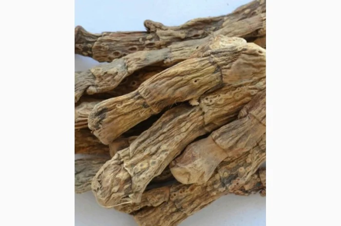 Куплю сухой корень кульбабы, лопуха, Аира, калгана, алтея- фото № 1