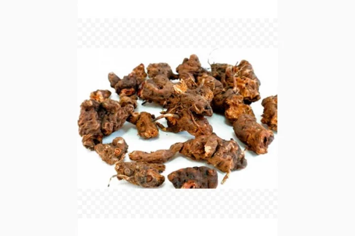 Закупаем сухой корень калгана, живокоста, девясила, Алтея и др.только качество- фото № 1