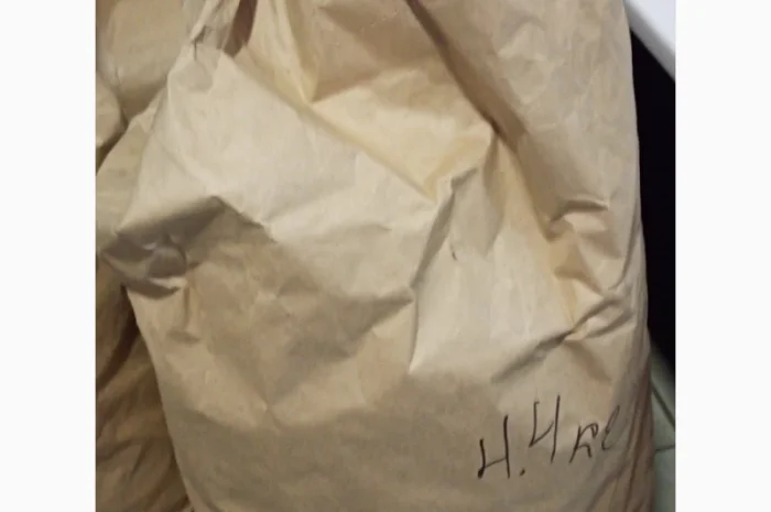 Продам корінь ехінацеї- фото № 6