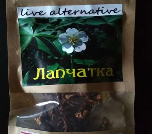 Корень лапчатки белой (пятипал) (Перстач білий) (Potentilla alba) 50 грам- фото № 2