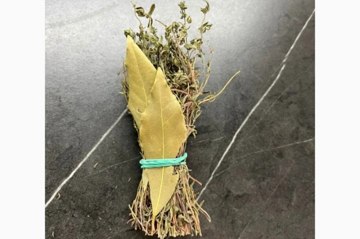 Культивований чебрець (Thymus vulgaris)- фото № 1