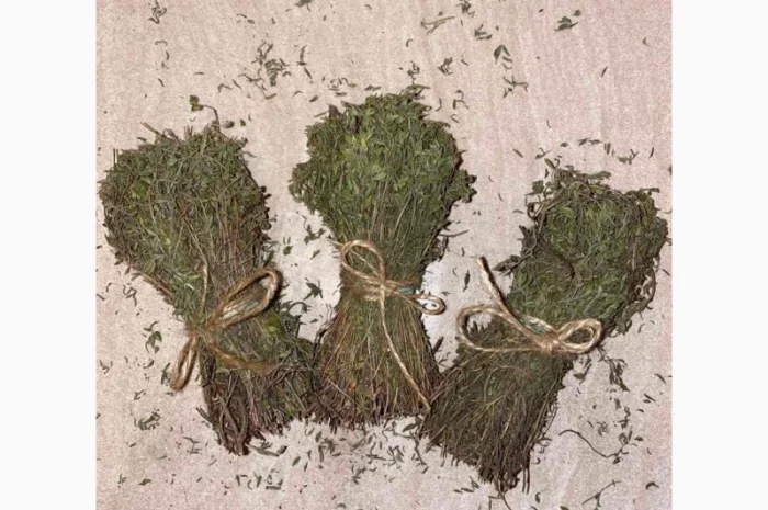 Культивований чебрець (Thymus vulgaris)- фото № 5