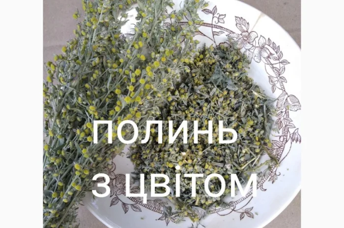 Полинь полинь- фото № 1