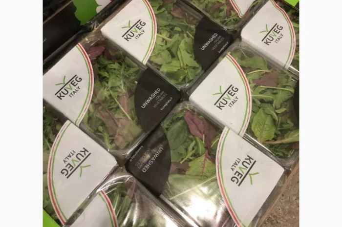 Зелень оптом. Ассортимент- фото № 1