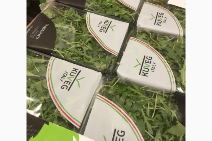 Зелень оптом. Ассортимент- фото № 2