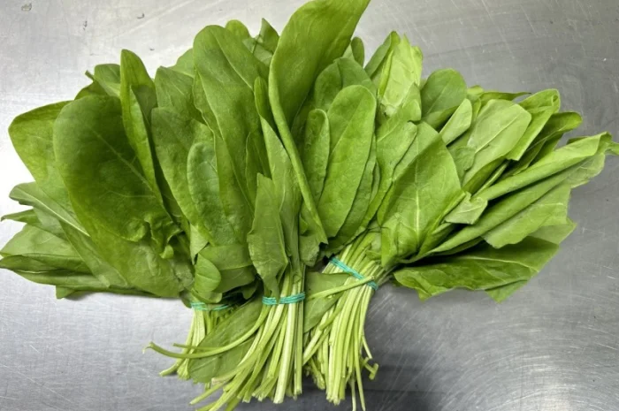 Свіжа зелень Салати Руккола Кінза та інше- фото № 6