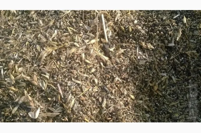 Отходы укропа на продажу- фото № 1