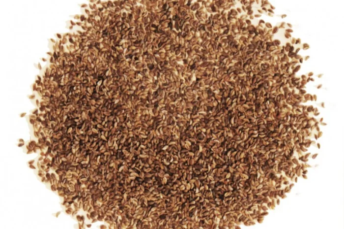 Семена Петрушки молоті на продаж- фото № 1