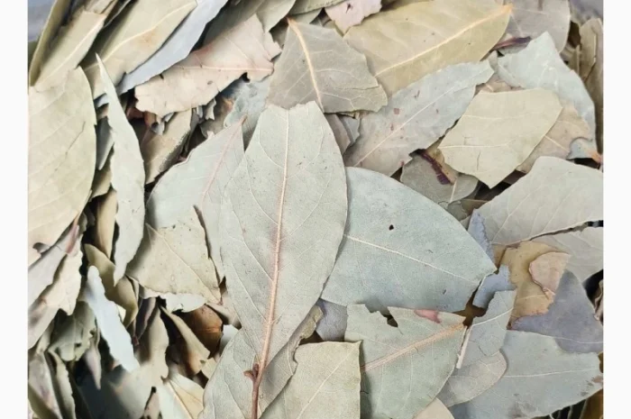 Лавровий лист машинної сушки- фото № 1