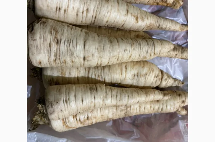 Корінь петрушки оптом від 1т- фото № 1