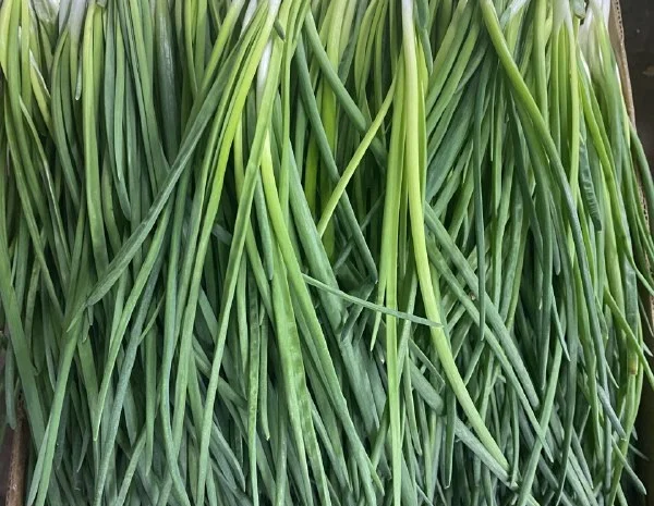 Продажа зеленой цибулі- фото № 2