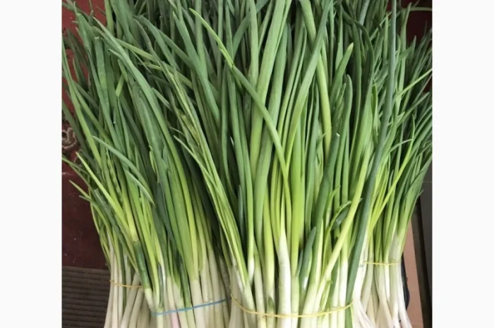 Продажа зеленой цибулі- фото № 3